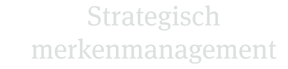 Strategisch merkenmanagement
