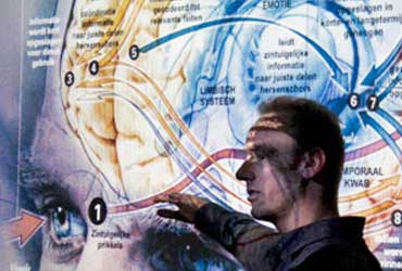 7 Digital Marketing Strategies